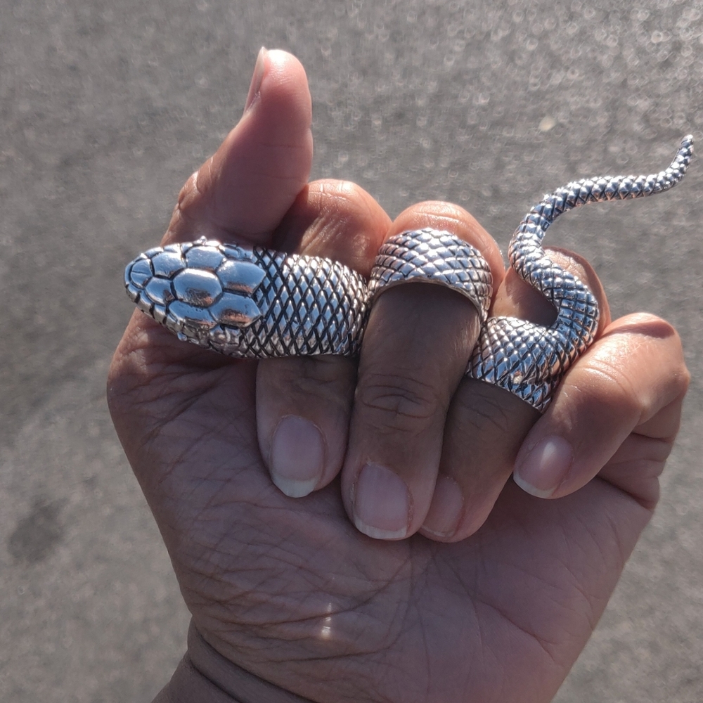 Serpentine Snake Ring Set - Picture 3 of 6